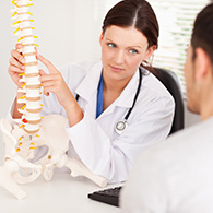 Chiropractor with model spine